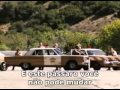 Lynyrd Skynyrd FreeBird com Tradução