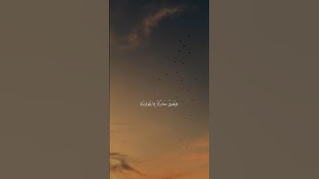 سورة الحجر || الآية 97 🫀 #القرآن_الكريم