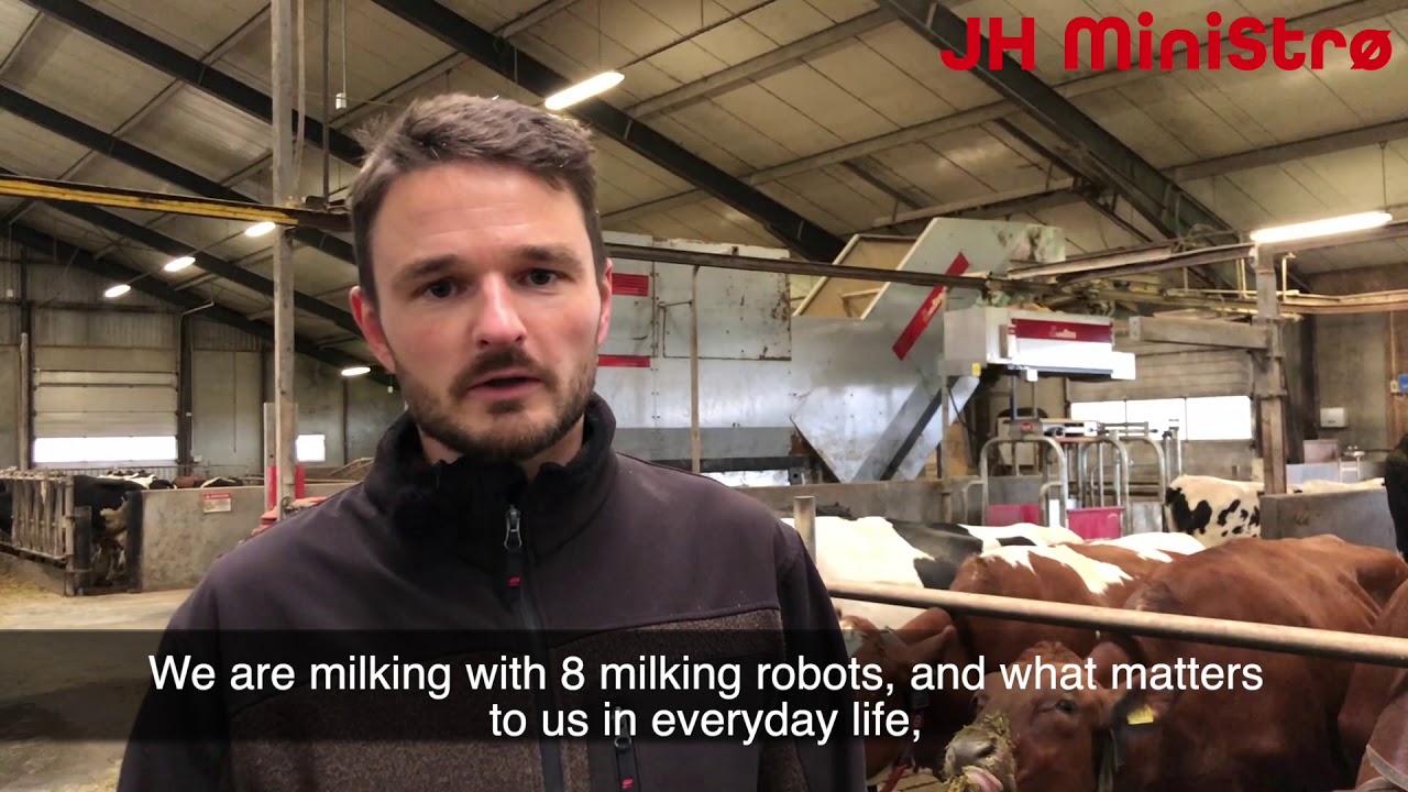 MS COWS ENGLISH BLÆSBJERG