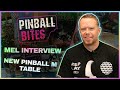 Pinball bites  hear the biggest news from mel  a new pinball m table