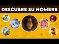 Adivina el nombre del personaje | Quiz de Personajes de Películas | MeQuiz😀