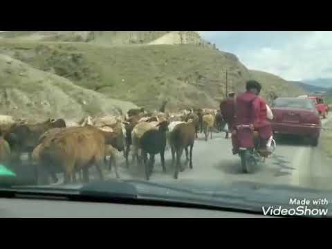 به شهر و کشورت مهمانم آقاهد و گهی تهرانم آقاآا ساد نازک میر