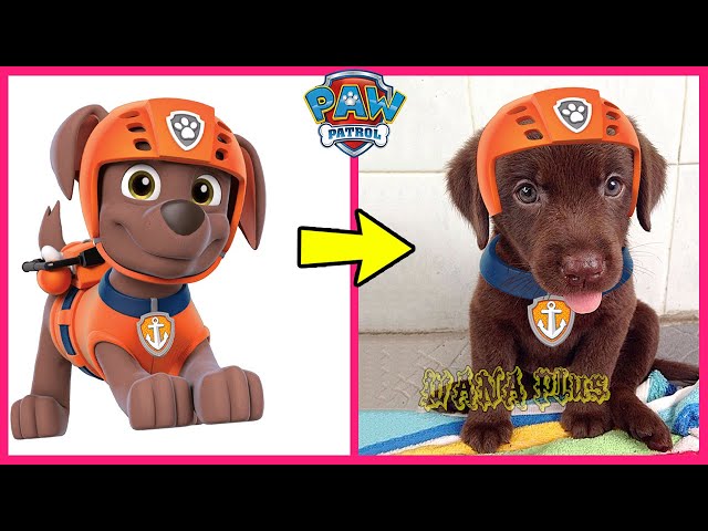 Paw Patrol Characters In Real Life 👉@WANAPlus class=
