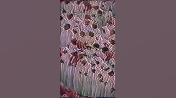 علي جابر |تلاوة خاشعة من سورة الأنعام. تهجد 1408هـ﴿قل إن صلاتي ونسكي ومحياي ومماتي لله رب العالمين﴾