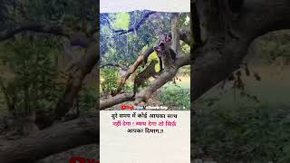 Motivational Quotes Hindi