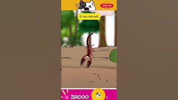 FUNNY VIDEO - Tận mục “SĂN BỌ CẠP dễ như... hái rau" #dongvat #funny #shorts #fyp #animals #cartoon