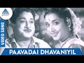 Nichaya thaamboolam tamil movie songs  paavadai dhavaniyil song  tm soundararajan  msv tkr