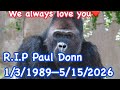 R.I.P Paul Donn 🦋1/3/1989-5/15/2026 We will always love you🩷❤️🧡😭🦋ありがとうポール ゆっくり休んでね✨🌟🌸愛してるよ🌟❤️
