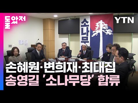 송영길 &#39;소나무당&#39;, 손혜원·변희재·최대집 등 6명 영입 / YTN