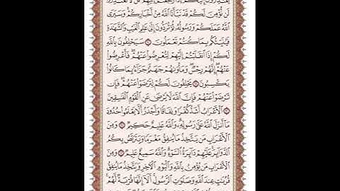 ص 202 القرآن الكريم صفحات بصوت المنشاوي نسخة الإذاعة