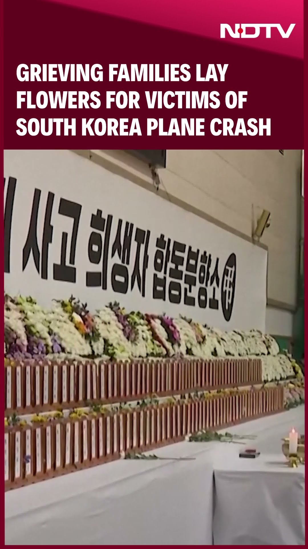 South Korea Plane Crash Latest News | South Korea Crash: Grief And Investigation Unfold in Muan
