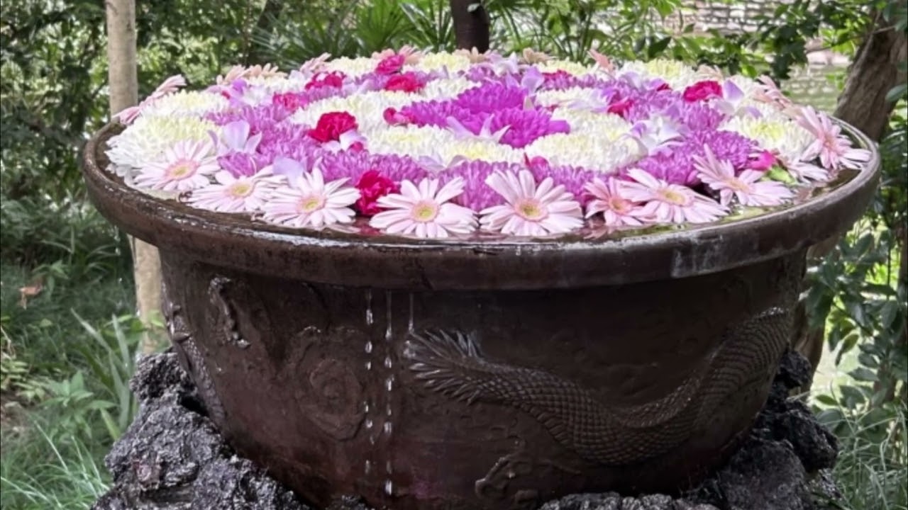 お別れメランコリー ／多岐川舞子　／cover　kanna keiko