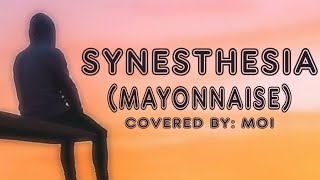 Synesthesia(Mayonnaise)Cover With Lyrics and Chords