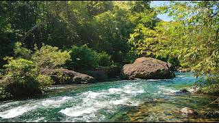 Natural River Ambience ASMR 🌊 Pure Water Flow – No Rain No Music for Deep Sleep
