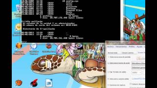 MS DOS COMANDOS BASICOS