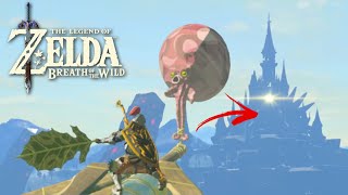 Weird Things To Do In Breath Of The Wild