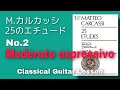 【カルカッシ25のエチュード】Op.60-2 クラシックギターレッスン