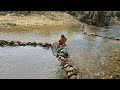 Catch fish fish trap making skills the little boy blocked the stream to make a trap to catch fish