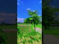 ghurfir,,😊#viral #foryou #nature #subscribe #support #viralsong