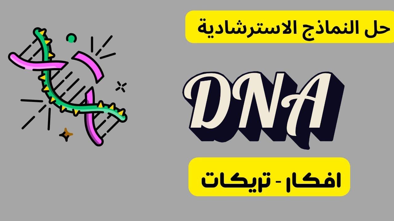 حل أسئلة الامتحانات الاسترشادية 2025 على DNA