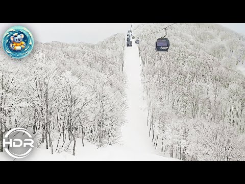 JAPAN TRAVEL⛄️Nozawa onsen snow field❄️Ski Resort⛷️Bottom to Top to Bottom,Nagano🎥4K 2024