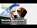Photoshop Elements How to Remove Background - Transparent Background Expert Mode Tutorial