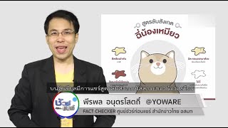 ชัวร์ก่อนแชร์ : สูตรลับสังเกตปัสสาวะแมว จริงหรือ ?