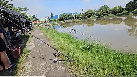 Một ngày câu cá giải trí vui vẻ cuối tuần ở hồ câu cá Út Phương ở  Bình Tân  