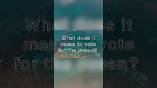 What does it mean to vote for the ocean 🗳️🌊