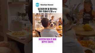 할리데이에 젤 좋아하는 형이 왔을때 반응ㅠㅠ