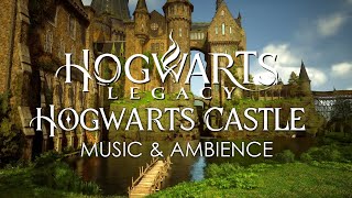 maybe here i'll feel better... (hogwarts legacy music & ambience)