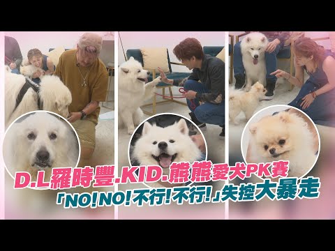 KID 熊熊 D.L 羅時豐 愛犬PK賽「NO！NO！不行！不行！」失控大暴走｜RUN新聞