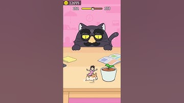 HIDE AND SEEK: CAT ESCAPE LEVEL 252