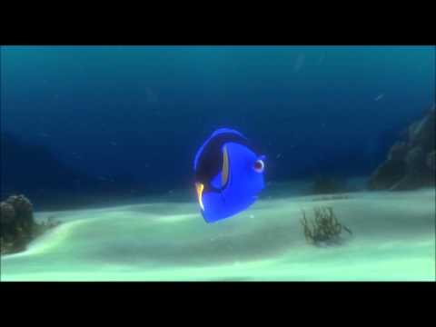 Finding Nemo - Short Term Memory Loss