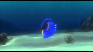 Finding Nemo - Short Term Memory Loss
