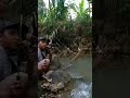 mancing wader pari di sungai belakang rumah strikenya babon
