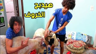 عمر شاور بيدبح الخروف في عيد الأضحى! ️