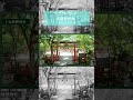 京都市西京区ＰＲ動画『最強区のひとびと』～歴史の身近さでは最強！？編～