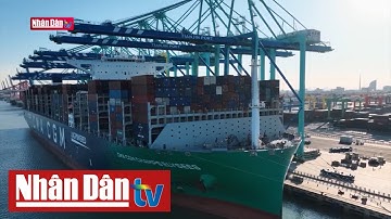 Hướng tới xây dựng cảng xanh, thông minh | Chuyển động số