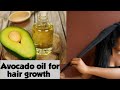 MAKE AVOCADO HAIR Oil For Faster Hair Growth and Stop Hair Fall