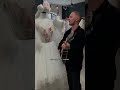 Манекен сказал, что все понял 😂 #жиза #shortsvideo #wedding #свадебныйтанец #танецмолодых
