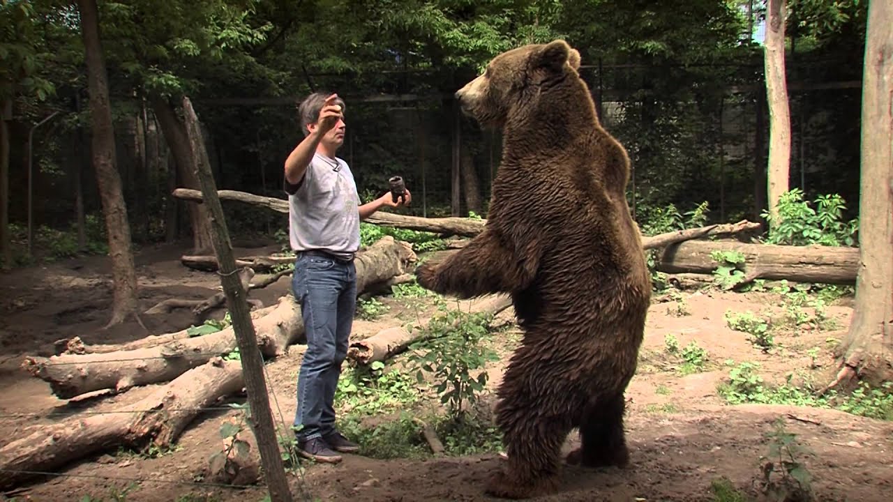 Zoltán, a Farkasember- sajtóesemény