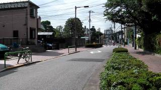 スーパーカブ１１０PRO　BRDマフラー