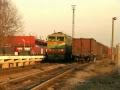 2ТЭ116-116 (Кингисепп) / 2TE116-116 (RZD, Kingisepp)