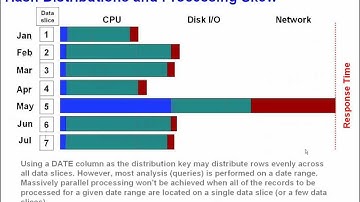 What are the performance features of Netezza