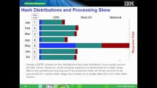 What are the performance features of Netezza