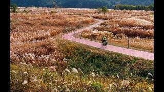 from Seoul to Busan. 4 rivers bike path. An extraordinary cycling route in South Korea