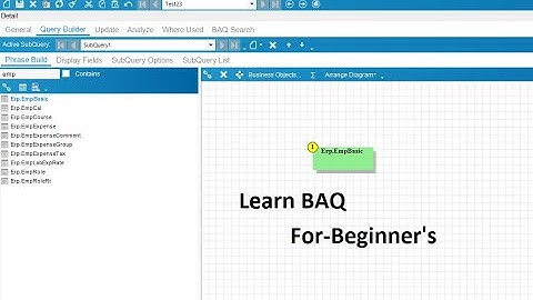 Epicor BAQ Part1- For Beginner