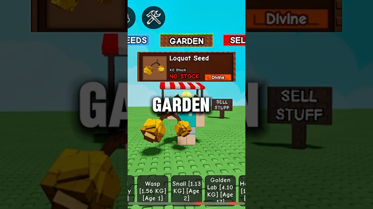 NEW LOQUAT FRUIT IN GROW A GARDEN 