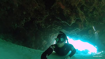 Insta360 ONE X - Diving In Australia